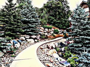 View of home's community