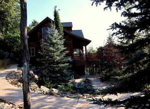 View of property exterior featuring a metal roof