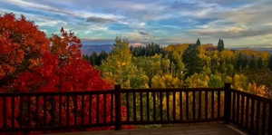 Wooden terrace with a forest view