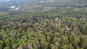 Aerial overview of property's location featuring a forest and a mountainous background