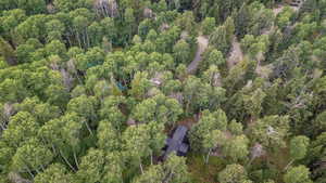 Aerial view of property's location featuring a forest