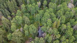 Aerial view of property's location with a heavily wooded area