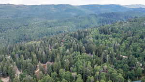 Drone / aerial view of a forest and a mountain backdrop