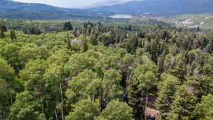 Aerial view of a mountainous background and a heavily wooded area