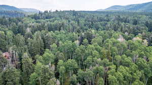 Aerial view of a mountainous background and a heavily wooded area