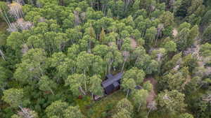 Aerial overview of property's location with a forest