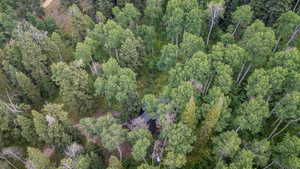 Aerial overview of property's location featuring a forest