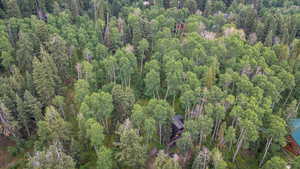Aerial view of property's location featuring a heavily wooded area