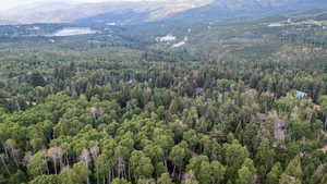 Aerial view of property's location with a heavily wooded area and a mountainous background
