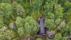 Drone / aerial view of a forest