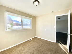 Unfurnished room with carpet