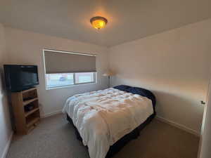 Carpeted bedroom with queen bed.  mtn views