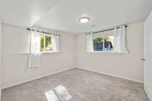 Carpeted spare room featuring plenty of natural light