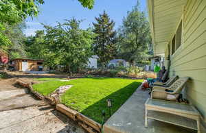 View of grassy yard featuring a patio area and an outbuilding