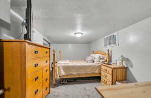 Carpeted bedroom with a textured ceiling