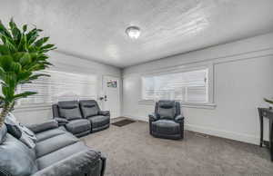 Living area featuring a textured ceiling and carpet flooring
