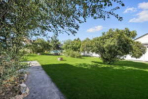 View of yard. *This image has been digitally enhanced.