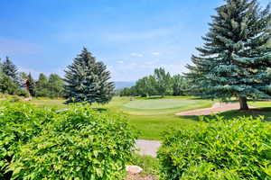 Surrounding community with a lawn, golf course view, view of wooded area, and a putting green