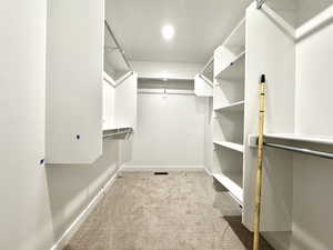 Spacious closet with carpet flooring