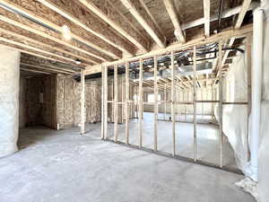 View of unfinished basement