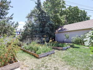 View of yard with a vegetable garden