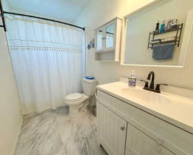 Full bathroom with vanity and a shower with curtain