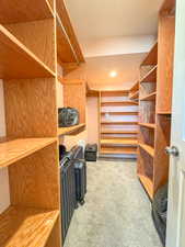 Walk in closet featuring carpet