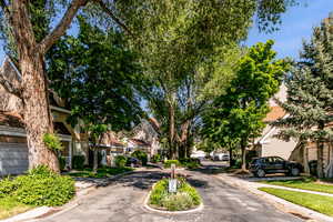 View of asphalt street with curbs, a residential view, and sidewalks
