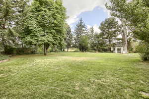 View of grassy yard featuring view of scattered trees