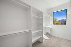 Spacious closet with carpet flooring
