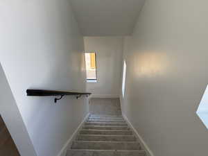 Staircase with baseboards and carpet flooring