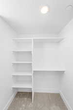 Walk in closet with carpet floors