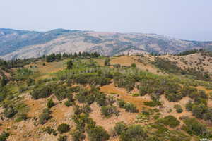 Mountain view featuring rural landscape