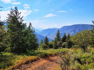 View of mountain backdrop
