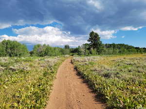 View of road featuring a rural view