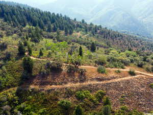 Drone / aerial view of mountains
