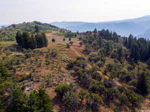 View of mountain background
