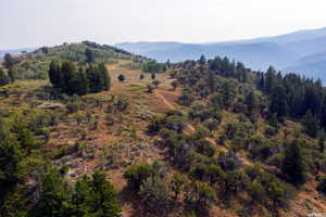 View of mountain backdrop