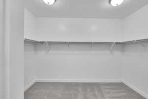 Spacious closet with carpet flooring