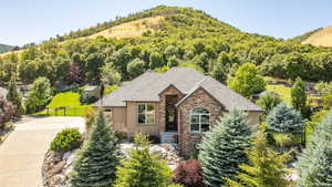 View of front of property featuring roof with shingles, stucco siding, a mountain view, a wooded view, and driveway