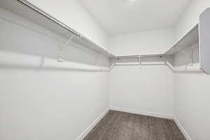 Walk in closet with carpet