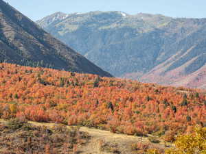 View of mountain backdrop