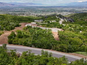 Bird's eye view of a mountainous background and a forest