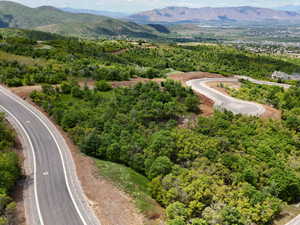 Drone / aerial view of a heavily wooded area and a mountain backdrop