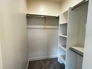 Spacious closet with dark colored carpet