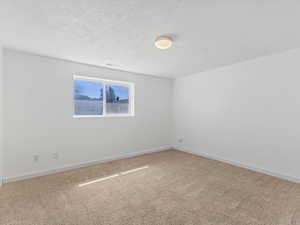 Spare room with carpet floors and a textured ceiling