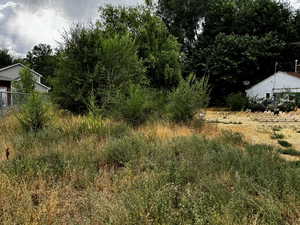 View of local wilderness