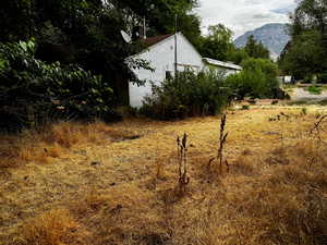 View of yard with a mountain view