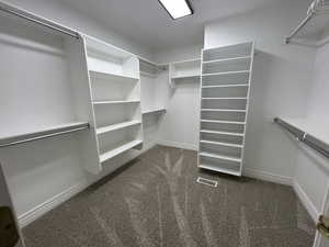 Master Walk in closet