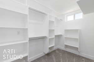 Spacious closet featuring carpet flooring
